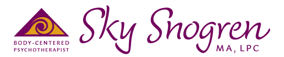 Sky Snogren Logo