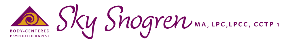 Sky Snogren Logo